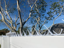 Load image into Gallery viewer, Sabre Security Spikes