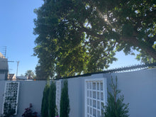 Load image into Gallery viewer, single row rotating spikes, Star rotating spikes, wall spikes, most effective anti-climb wall spikes, security spike, protect your home, secure your home business, security south africa, Spike-it security, Rola spikes, Star Spikes, rotating security spikes, wall spikes, vibracrete spikes, brick wall spikes,