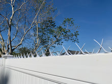 Load image into Gallery viewer, Tiger Security Spikes