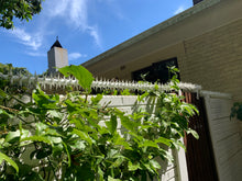 Load image into Gallery viewer, single row rotating spikes, Star rotating spikes, wall spikes, most effective anti-climb wall spikes, security spike, protect your home, secure your home business, security south africa, Spike-it security, Rola spikes, Star Spikes, rotating security spikes, wall spikes, vibracrete spikes, brick wall spikes,