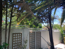 Load image into Gallery viewer, Double row rotating spikes, Star rotating spikes, wall spikes, most effective anti-climb wall spikes, security spike, protect your home, secure your home business, security south africa, Spike-it security, Rola spikes, Star Spikes, rotating security spikes