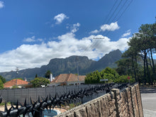 Load image into Gallery viewer, single row rotating spikes, Star rotating spikes, wall spikes, most effective anti-climb wall spikes, security spike, protect your home, secure your home business, security south africa, Spike-it security, Rola spikes, Star Spikes, rotating security spikes, wall spikes, vibracrete spikes, brick wall spikes,