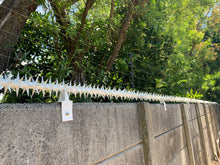 Load image into Gallery viewer, single row rotating spikes, Star rotating spikes, wall spikes, most effective anti-climb wall spikes, security spike, protect your home, secure your home business, security south africa, Spike-it security, Rola spikes, Star Spikes, rotating security spikes, wall spikes, vibracrete spikes, brick wall spikes,