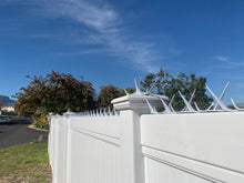 Load image into Gallery viewer, Sabre Security Spikes