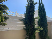 Load image into Gallery viewer, Double row rotating spikes, Star rotating spikes, wall spikes, most effective anti-climb wall spikes, security spike, protect your home, secure your home business, security south africa, Spike-it security, Rola spikes, Star Spikes, rotating security spikes