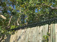 Load image into Gallery viewer, single row rotating spikes, Star rotating spikes, wall spikes, most effective anti-climb wall spikes, security spike, protect your home, secure your home business, security south africa, Spike-it security, Rola spikes, Star Spikes, rotating security spikes, wall spikes, vibracrete spikes, brick wall spikes,