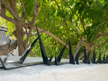 Load image into Gallery viewer, Tiger Security Spikes