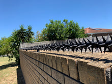 Load image into Gallery viewer, single row rotating spikes, Star rotating spikes, wall spikes, most effective anti-climb wall spikes, security spike, protect your home, secure your home business, security south africa, Spike-it security, Rola spikes, Star Spikes, rotating security spikes, wall spikes, vibracrete spikes, brick wall spikes,
