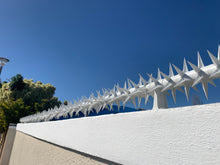 Load image into Gallery viewer, single row rotating spikes, Star rotating spikes, wall spikes, most effective anti-climb wall spikes, security spike, protect your home, secure your home business, security south africa, Spike-it security, Rola spikes, Star Spikes, rotating security spikes, wall spikes, vibracrete spikes, brick wall spikes,