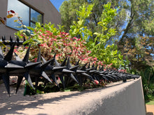 Load image into Gallery viewer, single row rotating spikes, Star rotating spikes, wall spikes, most effective anti-climb wall spikes, security spike, protect your home, secure your home business, security south africa, Spike-it security, Rola spikes, Star Spikes, rotating security spikes, wall spikes, vibracrete spikes, brick wall spikes,