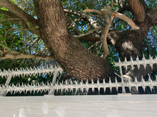 Load image into Gallery viewer, Double row rotating spikes, Star rotating spikes, wall spikes, most effective anti-climb wall spikes, security spike, protect your home, secure your home business, security south africa, Spike-it security, Rola spikes, Star Spikes, rotating security spikes