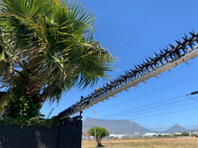 Load image into Gallery viewer, single row rotating spikes, Star rotating spikes, wall spikes, most effective anti-climb wall spikes, security spike, protect your home, secure your home business, security south africa, Spike-it security, Rola spikes, Star Spikes, rotating security spikes, wall spikes, vibracrete spikes, brick wall spikes,