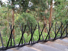 Load image into Gallery viewer, 10m DIY Kit Bird Spikes - 6 colors to choose from