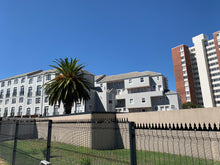 Load image into Gallery viewer, Castle Security Spike standard