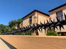 Load image into Gallery viewer, single row rotating spikes, Star rotating spikes, wall spikes, most effective anti-climb wall spikes, security spike, protect your home, secure your home business, security south africa, Spike-it security, Rola spikes, Star Spikes, rotating security spikes, wall spikes, vibracrete spikes, brick wall spikes,