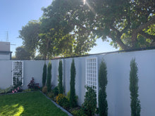 Load image into Gallery viewer, single row rotating spikes, Star rotating spikes, wall spikes, most effective anti-climb wall spikes, security spike, protect your home, secure your home business, security south africa, Spike-it security, Rola spikes, Star Spikes, rotating security spikes, wall spikes, vibracrete spikes, brick wall spikes,