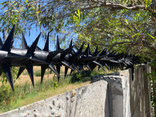 Load image into Gallery viewer, single row rotating spikes, Star rotating spikes, wall spikes, most effective anti-climb wall spikes, security spike, protect your home, secure your home business, security south africa, Spike-it security, Rola spikes, Star Spikes, rotating security spikes, wall spikes, vibracrete spikes, brick wall spikes,