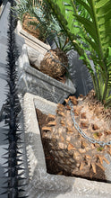 Load image into Gallery viewer, single row rotating spikes, Star rotating spikes, wall spikes, most effective anti-climb wall spikes, security spike, protect your home, secure your home business, security south africa, Spike-it security, Rola spikes, Star Spikes, rotating security spikes, wall spikes, vibracrete spikes, brick wall spikes,