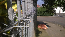 Load image into Gallery viewer, Eina Spikes Galvanized