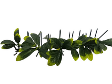 Load image into Gallery viewer, Eina Ivy Spikes metal spikes security spikes perimeter spikes