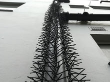 Load image into Gallery viewer, Rola Security Spikes security spikes metal spikes clearvu spikes betaview spikes palisade spikes rotating spikes rola spikes starwallspikes vibracrete wall spikes home security hyperstore anticlimb security solutions fencing barbwire electric fencing cctv starwall spikes rotating spikes maximum security crime prevention alarms
