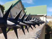 Load image into Gallery viewer, Rola Security Spikes security spikes metal spikes clearvu spikes betaview spikes palisade spikes rotating spikes rola spikes starwallspikes vibracrete wall spikes home security hyperstore anticlimb security solutions fencing barbwire electric fencing cctv starwall spikes rotating spikes maximum security crime prevention Star Security Spikes Starwall Spikes Rola Spikes Rotating spikes