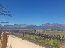 Load image into Gallery viewer, Double Row Security Bracket spikes security spikes metal spikes clearvu spikes betaview spikes palisade spikes rotating spikes rola spikes starwallspikes vibracrete wall spikes home security hyperstore anticlimb security solutions fencing barbwire electric fencing cctv Star Security Spikes Starwall Spikes Rola Spikes Rotating spikes