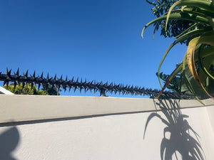 single row rotating spikes, Star rotating spikes, wall spikes, most effective anti-climb wall spikes, security spike, protect your home, secure your home business, security south africa, Spike-it security, Rola spikes, Star Spikes, rotating security spikes, wall spikes, vibracrete spikes, brick wall spikes,