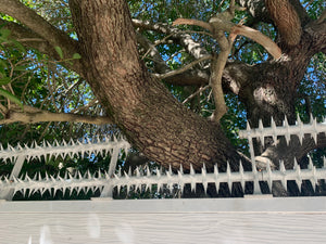 Double row rotating spikes, Star rotating spikes, wall spikes, most effective anti-climb wall spikes, security spike, protect your home, secure your home business, security south africa, Spike-it security, Rola spikes, Star Spikes, rotating security spikes