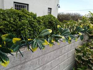 Eina Spikes, spikes with leaves, anti-climb, wall spikes, security spikes