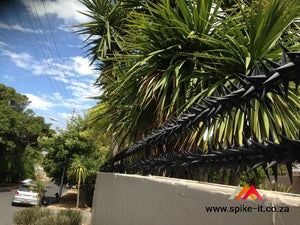 Double Row Rola Security Spikes - 200m kit wall spikes security spikes metal spikes clearvu spikes betaview spikes palisade spikes rotating spikes rola spikes starwallspikes vibracrete wall spikes home security hyperstore Star Security Spikes Starwall Spikes Rola Spikes Rotating spikes
