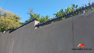 Rola Security Spikes security spikes metal spikes clearvu spikes betaview spikes palisade spikes rotating spikes rola spikes starwallspikes vibracrete wall spikes home security hyperstore anticlimb security solutions fencing barbwire electric fencing cctv starwall spikes rotating spikes maximum security crime prevention alarms  Star Security Spikes Starwall Spikes Rola Spikes Rotating spikes Load shedding crime prevention