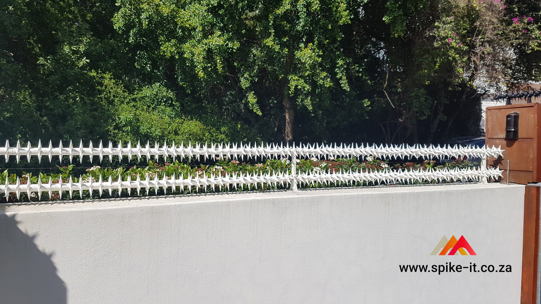 Double Row Rola Security Spikes - 1m kitwall spikes security spikes metal spikes clearvu spikes betaview spikes palisade spikes rotating spikes rola spikes starwallspikes vibracrete wall spikes home security hyperstore