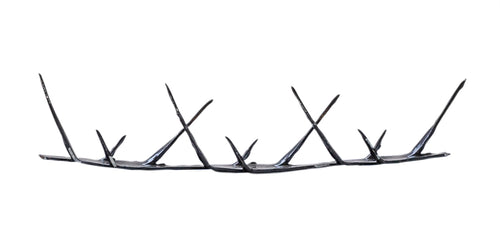 Tiger spikes 1.5m length