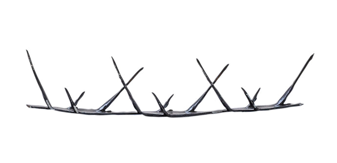 Tiger spikes 1.5m length