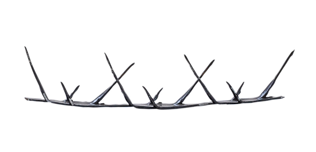 Tiger spikes 1.5m length